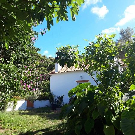 Quinta Algarve Das Relvinhas 蒙希克 外观 照片