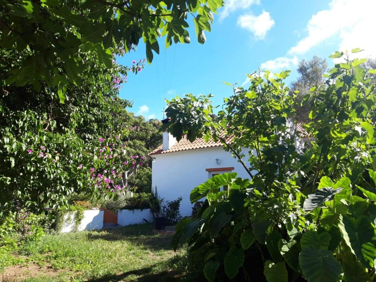 Quinta Algarve Das Relvinhas 蒙希克 外观 照片