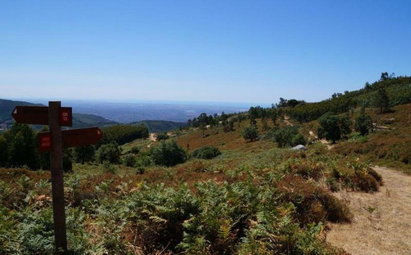 Quinta Algarve Das Relvinhas 蒙希克 外观 照片