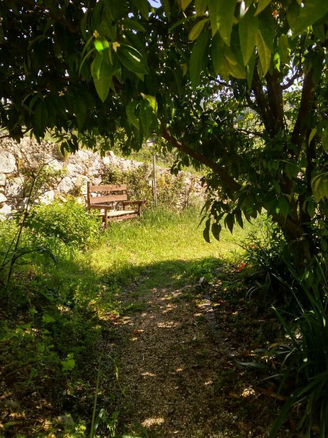 Quinta Algarve Das Relvinhas 蒙希克 外观 照片