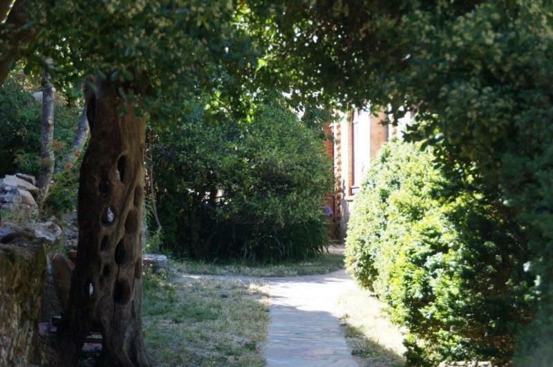 Quinta Algarve Das Relvinhas 蒙希克 外观 照片