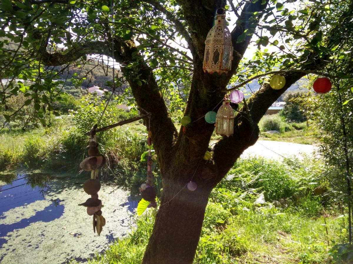 Quinta Algarve Das Relvinhas 蒙希克 外观 照片